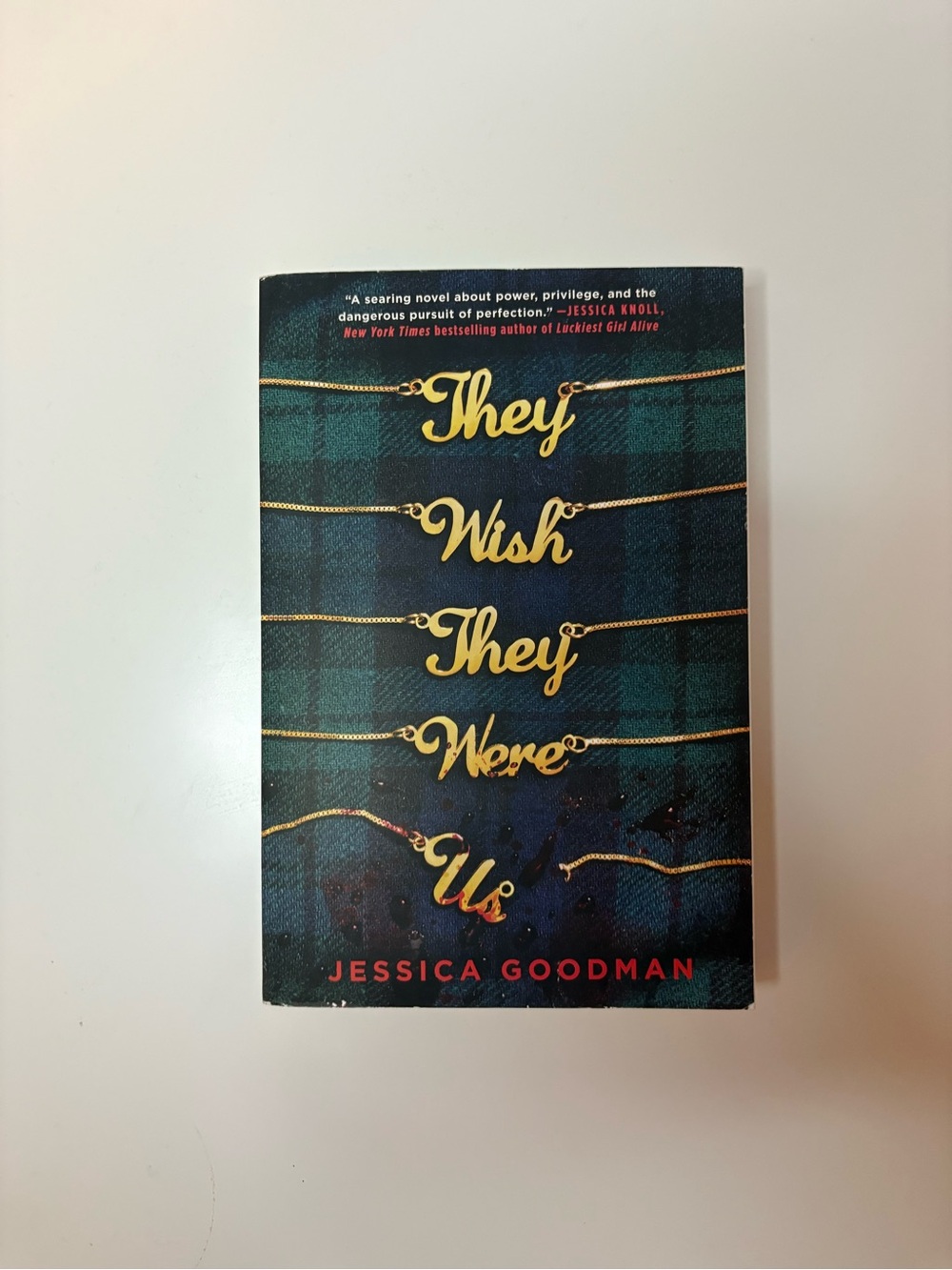They Wish They Were Us by Jessica Goodman